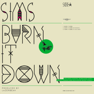 Burn It Down EP by Sims