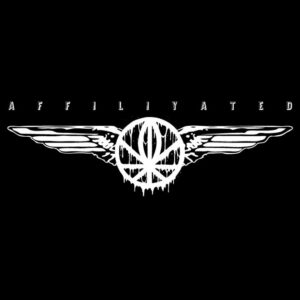 AFFILIYATED by GAYNGS (2011)